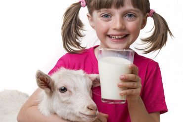 keçi sütü faydaları, bebeklere verilir mi, keçi sütü sabunu